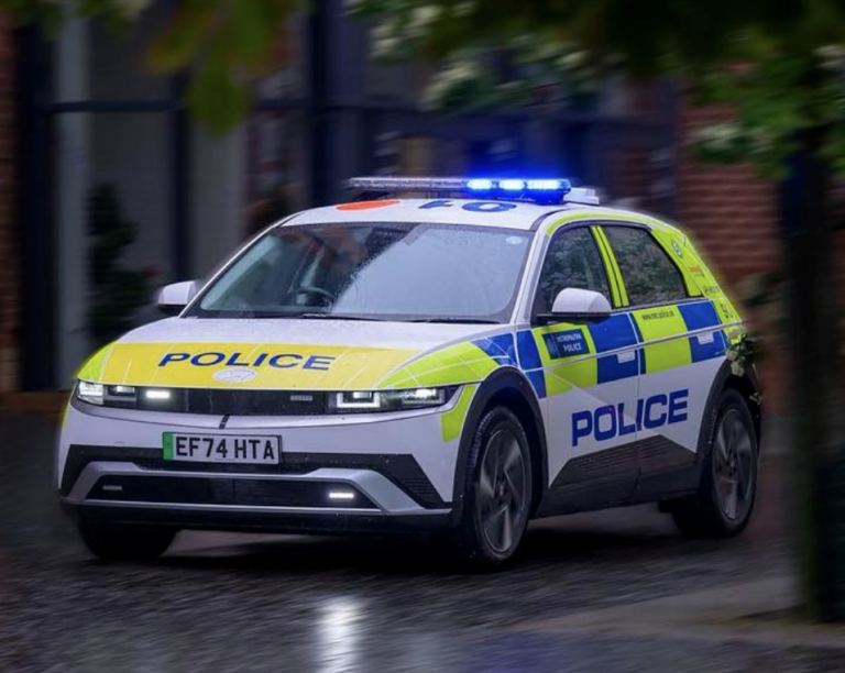 29-Year-Old Dies After Police Chase Ends in Crash Into Tree