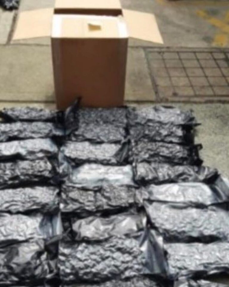 Three Held After £139M Cannabis Haul Seized at Port
