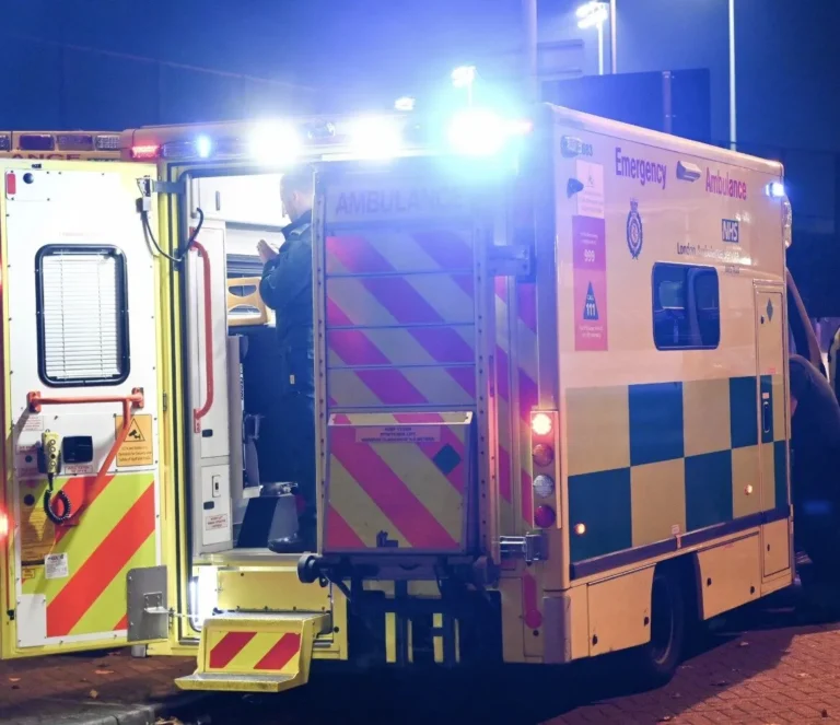 Murder probe launched after stabbing in Crystal Palace