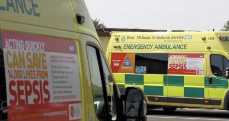 Man Dies After Car Crashes Into Tree on Oldbury Road