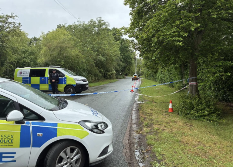 12-Year-Old Dies in Brentwood Car Crash Murder Investigation