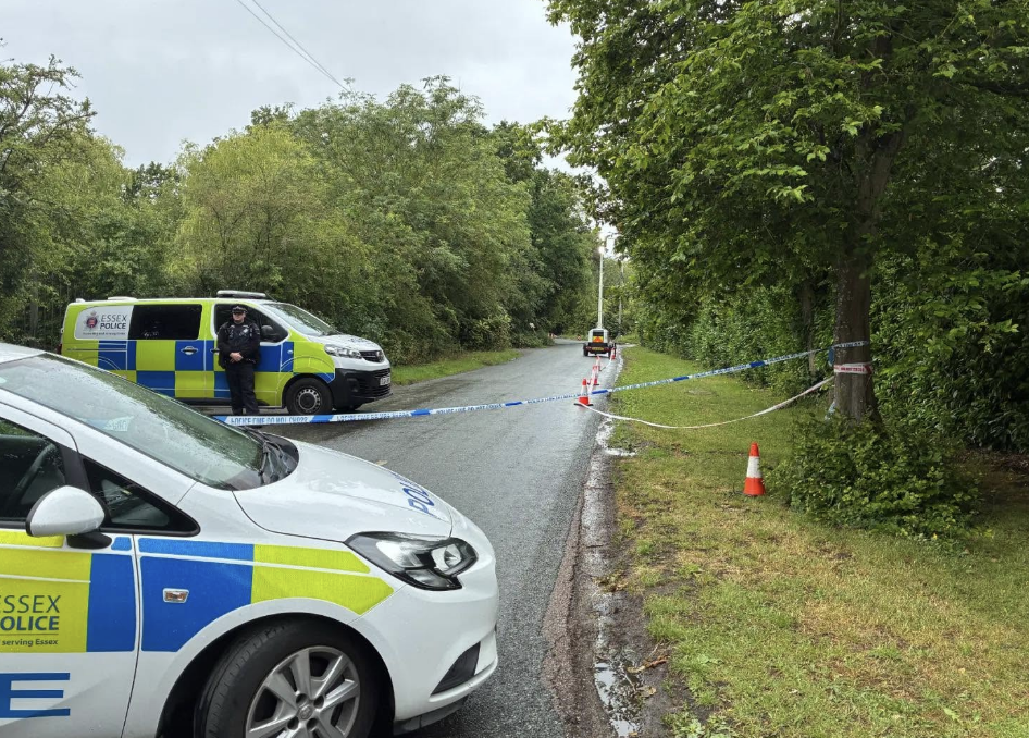 12-Year-Old Dies in Brentwood Car Crash Murder Investigation