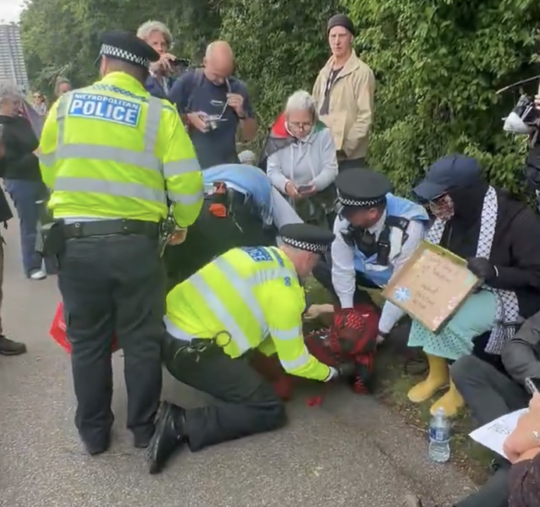 72 Held as Hundreds Rally at Palestine Action Sentencing