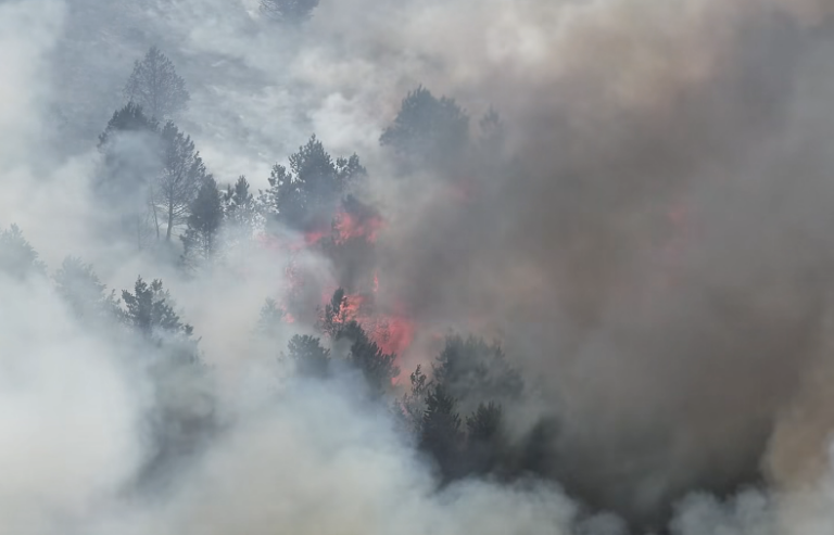 Wildfire Rips Through Tintwistle Moor, Shutting Major Roads