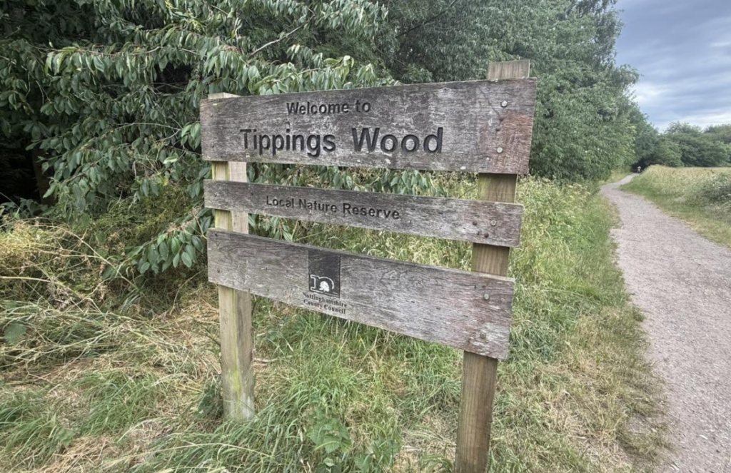 Specialist Ambulance Called for Rescue in Tippings Wood