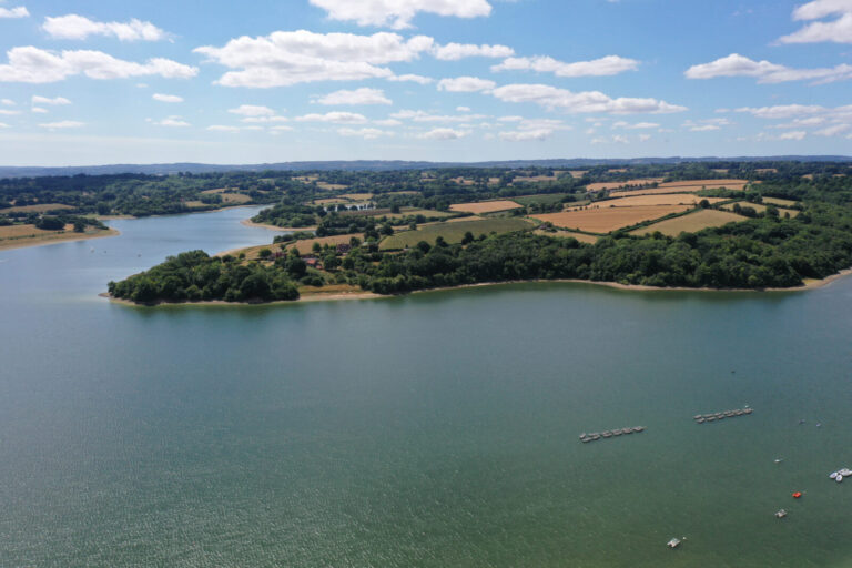 South East Water Slaps Instant Hosepipe Ban on Kent Amid Heatwave