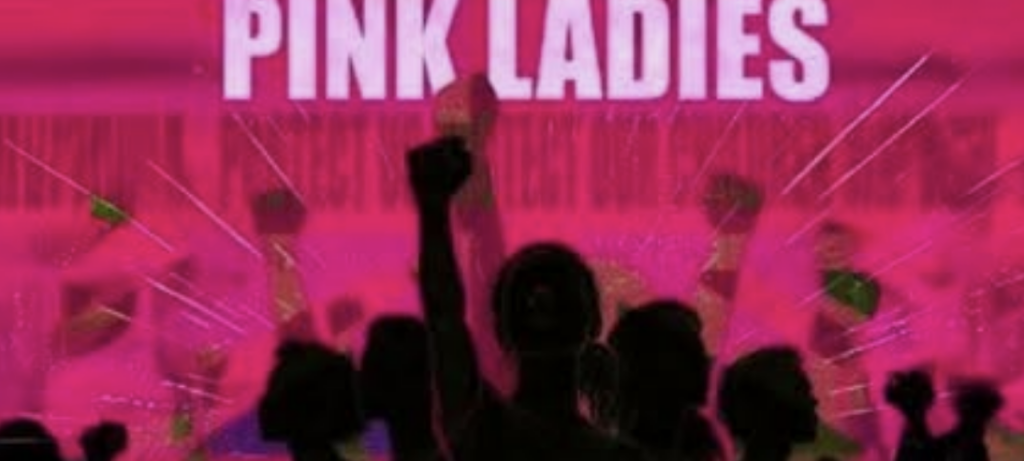 Pink Ladies movement faces scrutiny over political links and campaign claims
